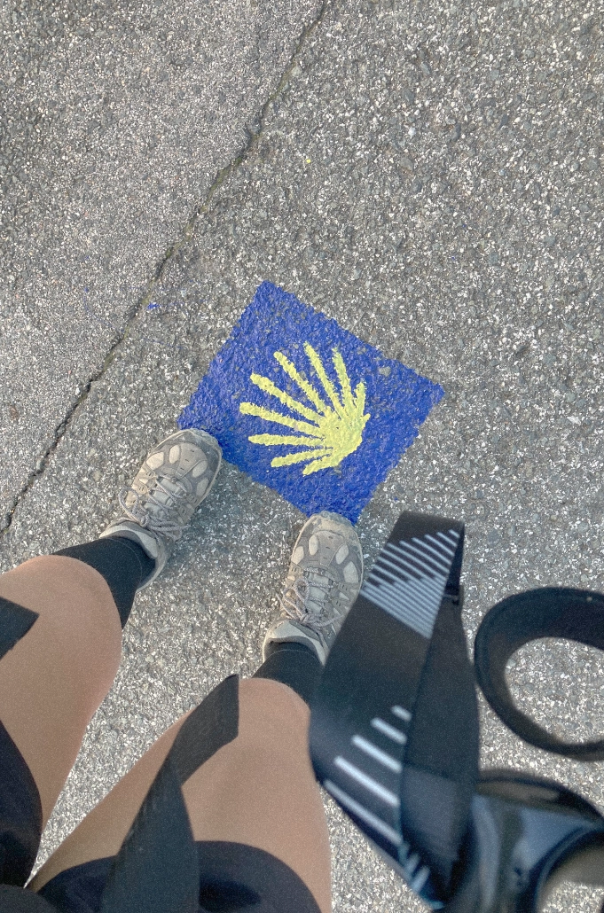 A painted trail marker on a hiking path